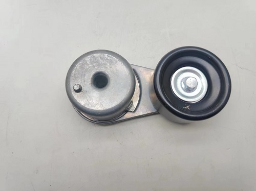 American Bobcat  山猫